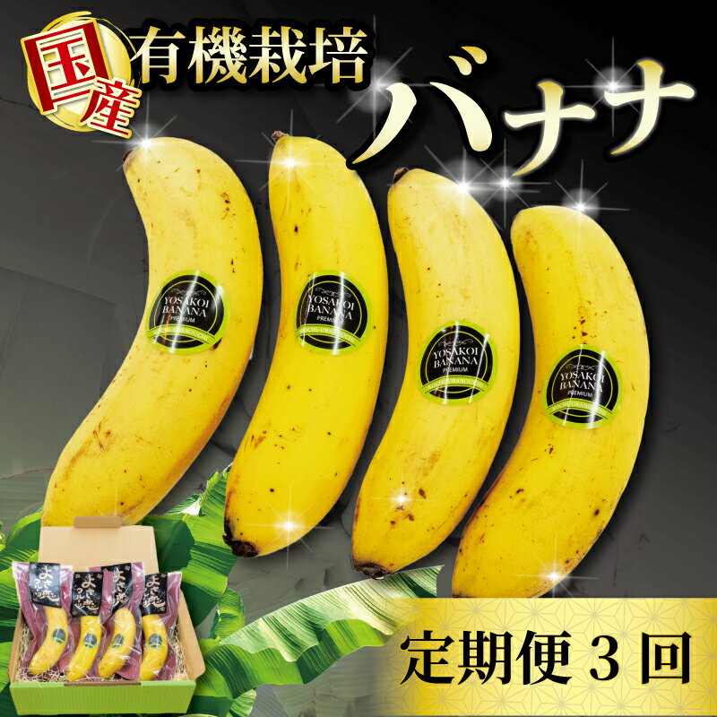 【ふるさと納税】 【毎月3回定期便】 有機栽培 高級 バナナ 500g 以上 3回 国産 高知初 糖度 25度以上 果物 フルーツ 高知県 須崎市