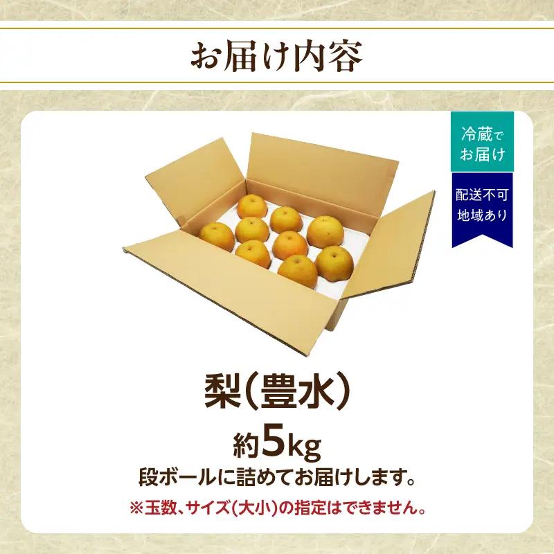 【2026年8～9月発送】 梨(豊水) 約5kg 梨 072-004