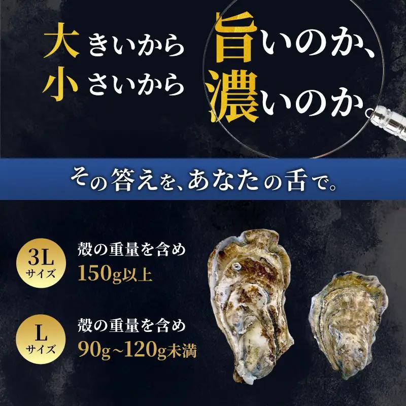 厚岸産 ブランド 殻付カキ マルえもん 生食用 サイズ食べ比べ 12個 (3L・L各6個)[ 魚貝類 生牡蠣 かき 牡蠣 カキ 生ガキ 食べ比べ ]