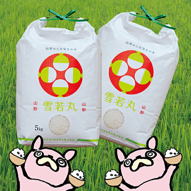 【ふるさと納税】 新米 令和7年産 10kg （5kg×2袋） 雪若丸 山形県 朝日町産 2025年産 精米 お米 こめ コメ 銘柄米 送料無料 農家直送