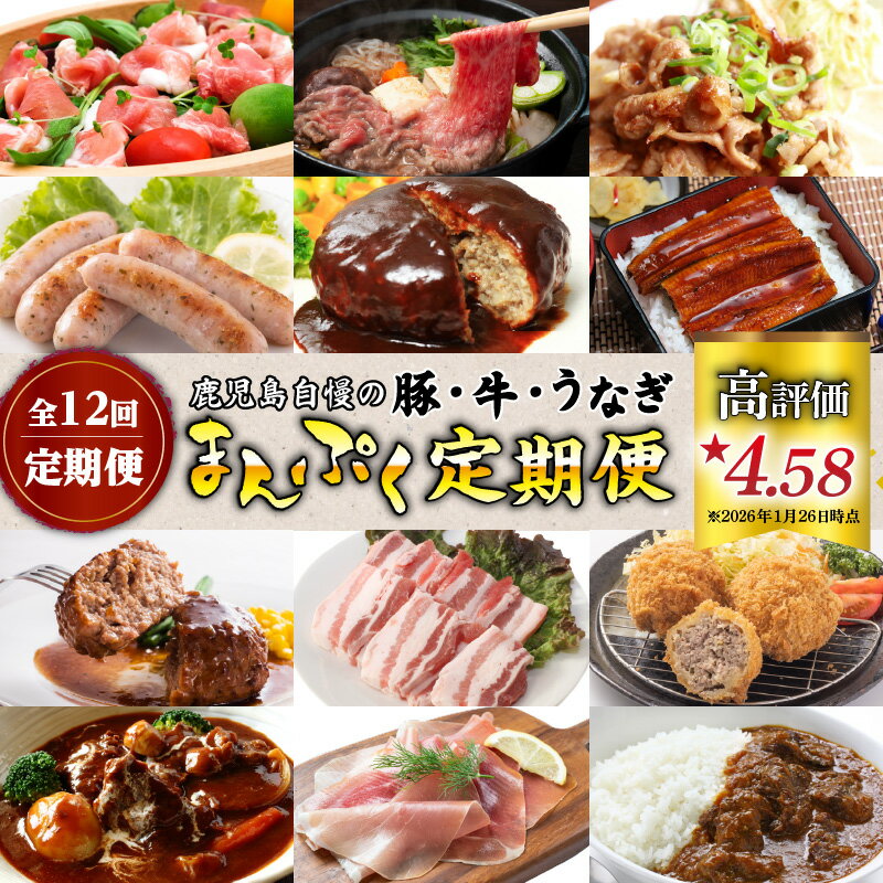 【ふるさと納税】 【 全12回 定期便 】 鹿児島 自慢の 豚 ・ 牛 ・ うなぎ 「 まんぷく 定期便 」1年 コース 黒豚 和牛 黒毛和牛 鰻 ハンバーグ 生ハム ソーセージ もつ ホルモン お肉 牛肉 豚肉 メンチカツ 精肉 加工肉 加工品 鹿児島県産 鹿児島市