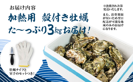 【先行予約】殻付き 生牡蠣 5kg 加熱用 軍手・牡蠣ナイフ付 牡蠣 カキ かき 生 殻付牡蠣 フライ 鍋 バーベキュー BBQ 海鮮 魚介 魚貝 貝 魚介類 新鮮 渥美半島 田原市 愛知県 国産 海