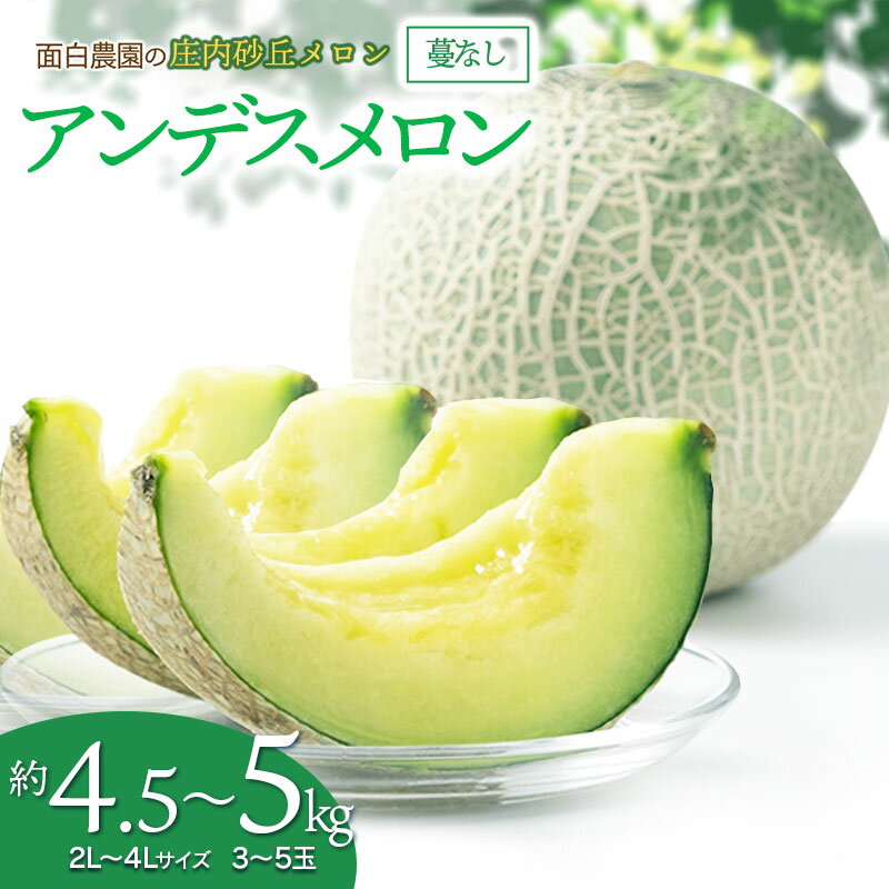 【ふるさと納税】【令和7年産先行予約】庄内砂丘メロン 蔓なし アンデスメロン 約4.5～5kg　2L～4Lサイズ（3～5玉入）