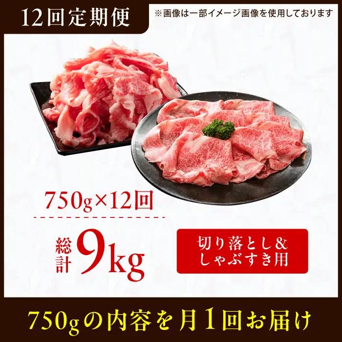 【12回定期便】【訳あり】しゃぶしゃぶ すき焼き 750gセット / 牛肉 お肉 すき焼き [AFBO033] 