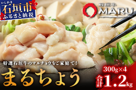 希少な特選石垣牛のホルモンをご家庭で！！マルチョウ300g×4パック【 沖縄 石垣 和牛 石垣牛 希少 特選 肉 ホルモン マルチョウ 冷凍 小分け 】IM-14