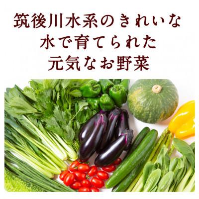 ふるさと納税 うきは市 【毎月定期便】【お試し】名水うきは 旬の滋味(じみ)野菜セット　全2回 |  | 01