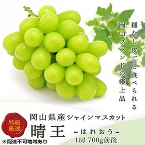 シャインマスカット 晴王 岡山県産 シャインマスカット【1房 700g前後】【先行予約】