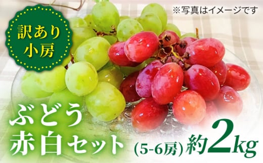 ぶどう 【 訳あり 】 詰め合わせ赤白セット（サニードルチェ・ シャインマスカット ）約2kg（5～6房）＜山田果樹園＞ [CCX008] 西海 シャインマスカット マスカット ぶどう 果物 訳あり 不揃い 規格外