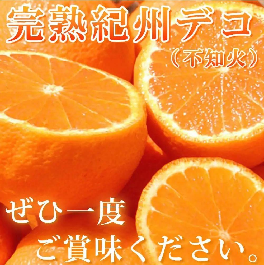 完熟紀州デコ(不知火) 約5kg　果肉プリプリ♪［2027年2月下旬以降発送］［先行予約］［UT43］