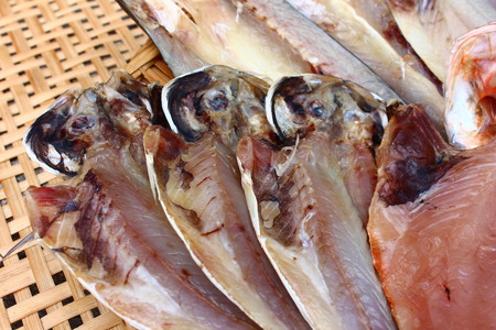 漁協直送！ 干物詰め合わせ　【 干物 干物ギフト 干物 伊豆 干物 人気 ひもの ふるさと納税 干物 】