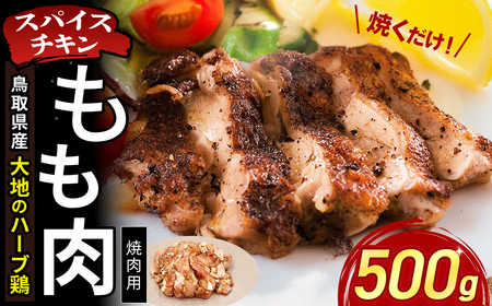【鳥取県産 大地のハーブ鶏】 スパイスチキン 焼肉 500g KC235 もも肉 鶏肉 チキン