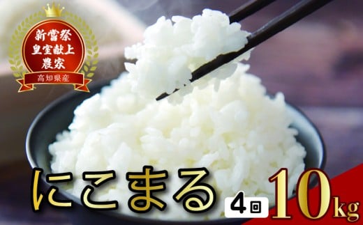 令和7年産 にこまる 白米 4ヵ月連続でお届け!! 定期便 10kg × 4回 40kg