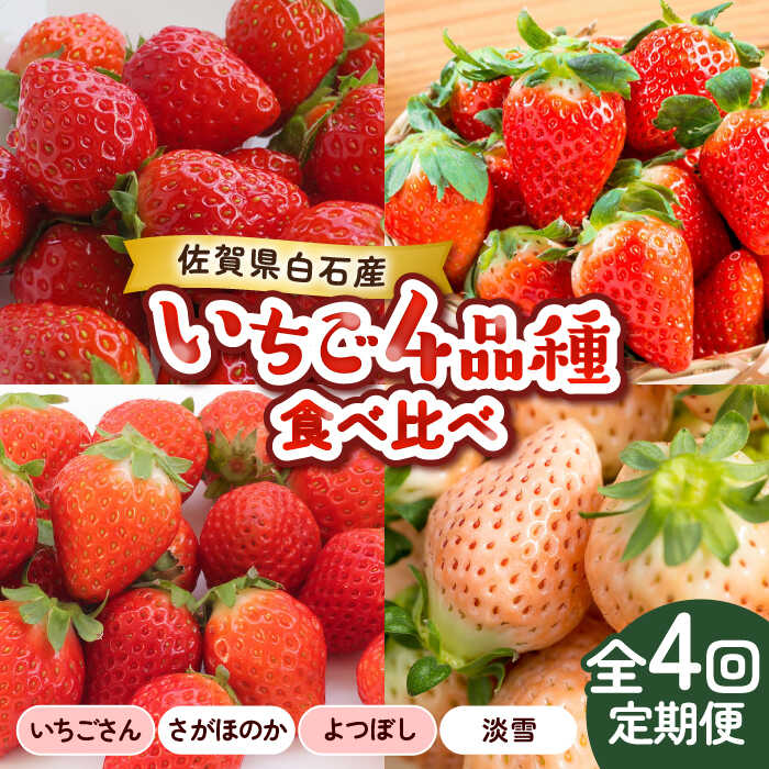 【ふるさと納税】【2026年発送分 先行予約】【全4回定期便】いちご4品種食べ比べ（いちごさん・さがほのか・よつぼし・淡雪）/ いちご いちご イチゴ 苺 フルーツ 果物 定期便 / 佐賀県 / 岸川農園 [41ASAG033]