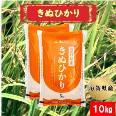 ふるさと納税 甲良町 令和7年産 甲良米「キヌヒカリ」白米 10kg