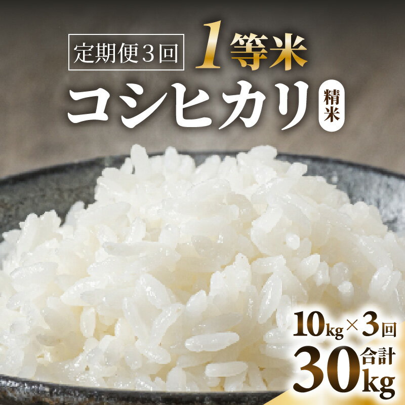 【ふるさと納税】【令和7年産】定期便≪3ヶ月連続お届け≫ 【一等米】コシヒカリ 精米 10kg × 3回（合計30kg） ／ 米 定期便 一等米 福井県産 ブランド米 ご飯 白米 お米 コメ 新鮮 新米