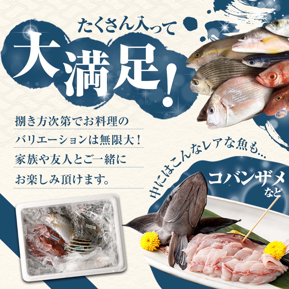 旬の朝獲れ鮮魚詰め合わせ【以布利定置網　漁師直送】朝獲れ 旬 鮮魚 魚介 海鮮 魚 さかな せんぎょ 鮮魚セット 詰め合わせ おまかせ お任せ【S00818】