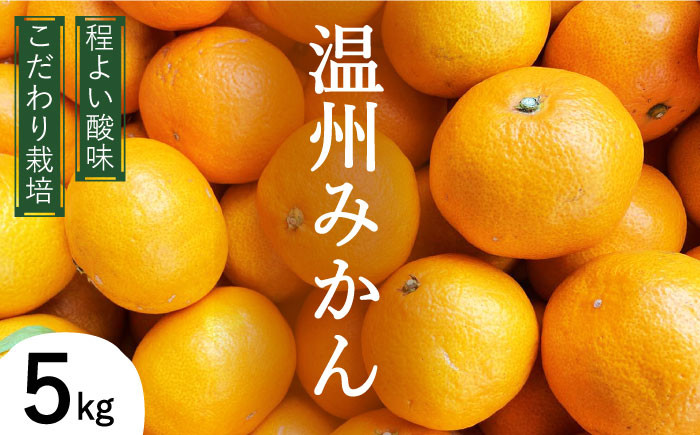 
                  【2026年12月中旬～発送】温州みかん 5kg（2S～2L込）  / みかん ミカン みかん ミカン ミカン 蜜柑 柑橘 フルーツ 果物 / 南島原市 / 日野江 [SCY001]
                