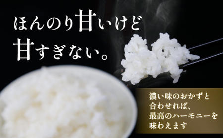 北海道 豊浦 令和5年産 精米 ななつぼし 10kg 【 ふるさと納税 人気 おすすめ ランキング 穀物・乳 米 精米 ななつぼし 国産 ふっくら 大容量 おいしい 美味しい 甘い 北海道 豊浦町 送