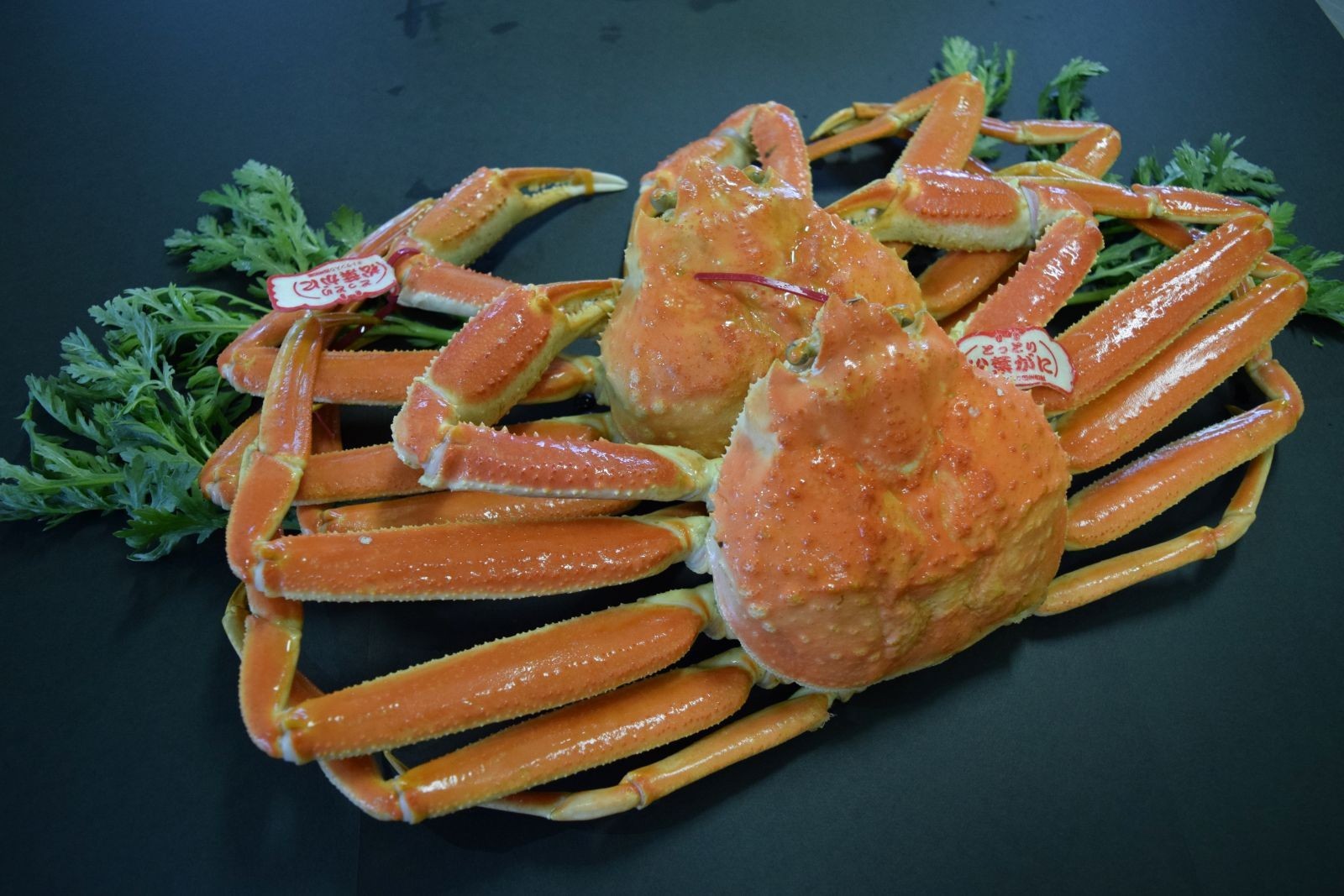 
                  ＜11月中旬～2月末発送予定＞＜数量限定＞特撰！茹で松葉がに大サイズ(タグ付き・2尾/1.4～1.5kg)
                