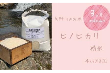 【定期便・全３回】矢野川のお米　ヒノヒカリ精米4kgｘ3回
