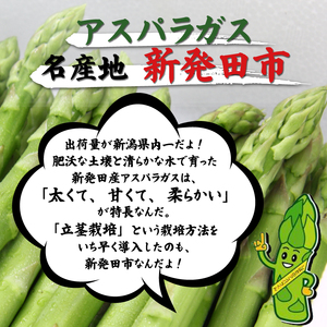 【とにかく甘い！】 グリーンアスパラガス LLサイズ 1kg アスパラ 甘い 太い 柔らかい 新潟 新発田 朝採り 新鮮 野菜 アスパラガス グリーンタワー 春野菜 特産品 旬 肉 巻き 朝採れ 産地