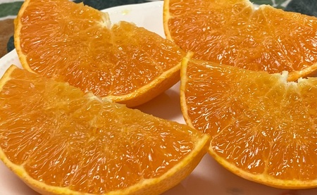 【2027年先行予約】みかん 愛媛県 せとか 2kg ご家庭用 訳あり レッスルファーム 【2027年1月下旬より順次発送】 数量限定 おすすめ 美味しい おいしい グルメ フルーツ くだもの 愛媛県