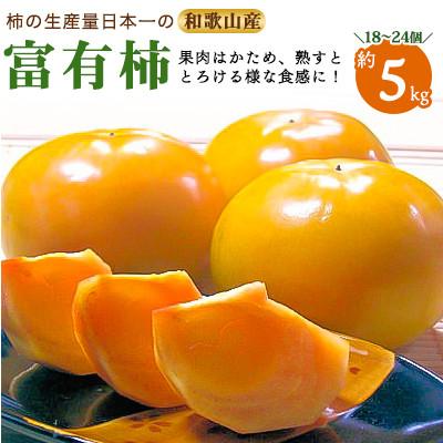 ふるさと納税 御坊市 和歌山産 富有柿 約5kg (18〜24個)