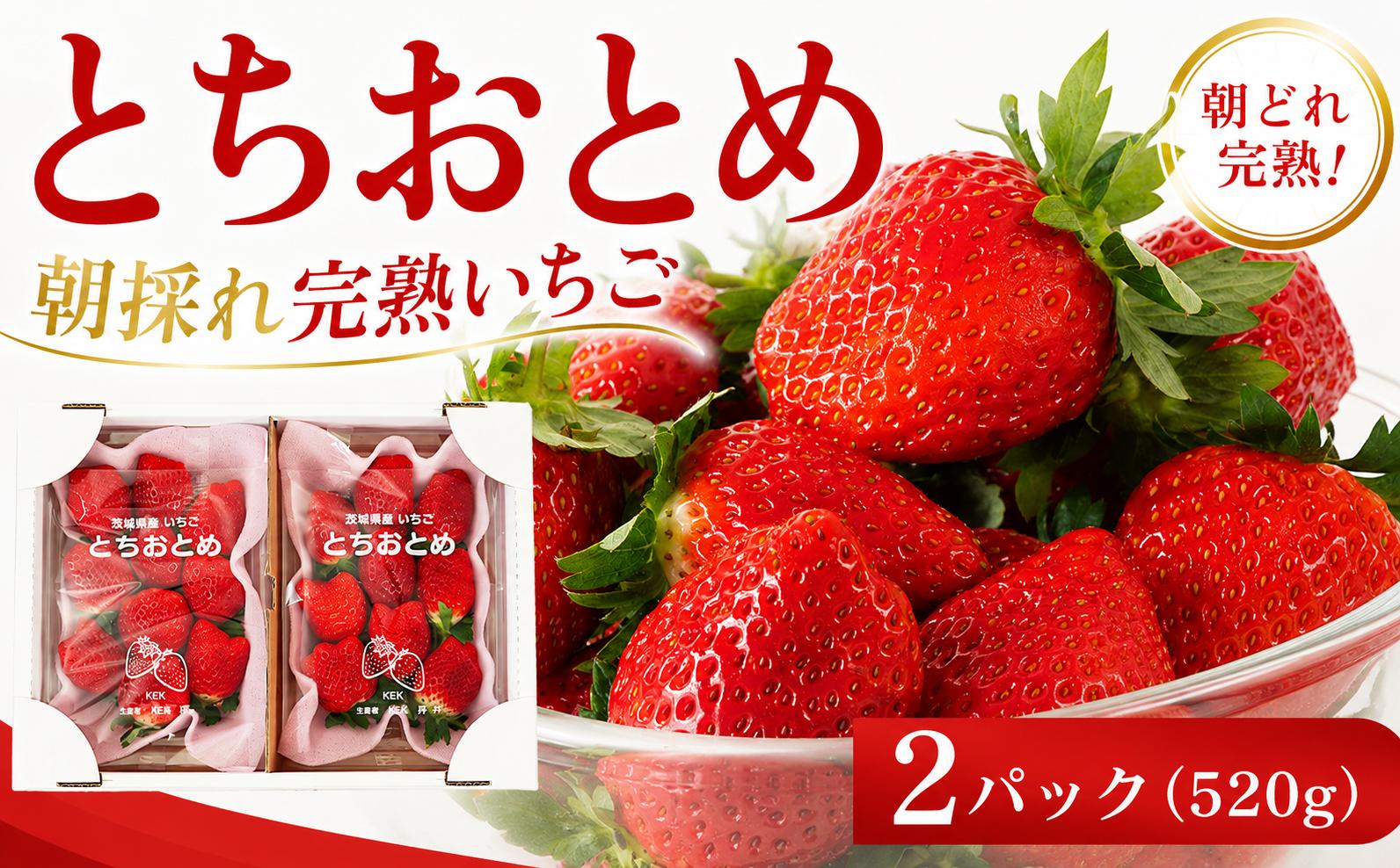 
                  いちご とちおとめ 約 260g × 2パック 先行予約 【2027年1月より発送開始】 苺 イチゴ いちご 果物 トチオトメ フルーツ くだもの デザート 野菜 完熟 朝採れ 新鮮 国産 茨城県 筑西市 関東
                