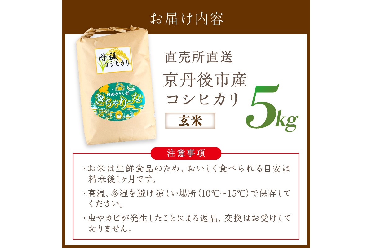直売所直送「令和7年産　京丹後市産　コシヒカリ」　玄米5kg ふるさと納税 米 玄米 特A 検査1等米 国産 こめ ごはん 京都産 コシヒカリ 農家応援 生産者応援 送料無料　JA00081