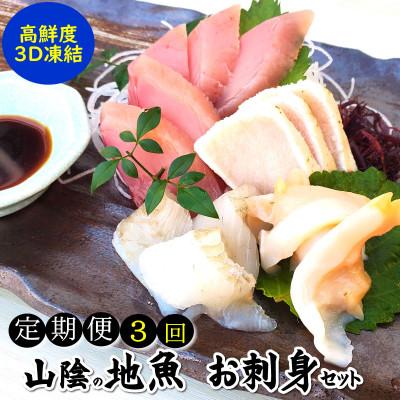 ふるさと納税 新温泉町 【2ヵ月毎定期便】山陰の地魚お刺身セット　アニサキス対策　旬の天然魚介類　小分け 3D凍結　全3回