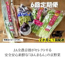 【ふるさと納税】＜6回　定期便＞【JA全農京都】2か月に1回配送！季節の京野菜セット|京都 京都市 野菜 定期便 季節 京野菜 JA全農京都 セット 詰め合わせ