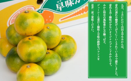 福岡ブランドみかん・早味かん約4kg 3V17