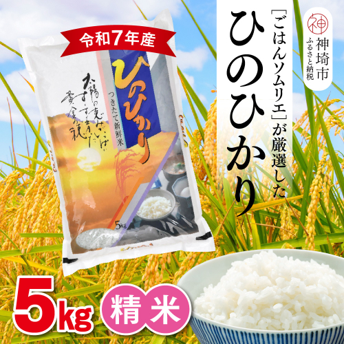 【令和7年産】ごはんソムリエが厳選 白米 ひのひかり 5kg【神埼市産 米 お米 精米 白米 5kg ひのひかり ブランド米 食味鑑定士】(H063155)