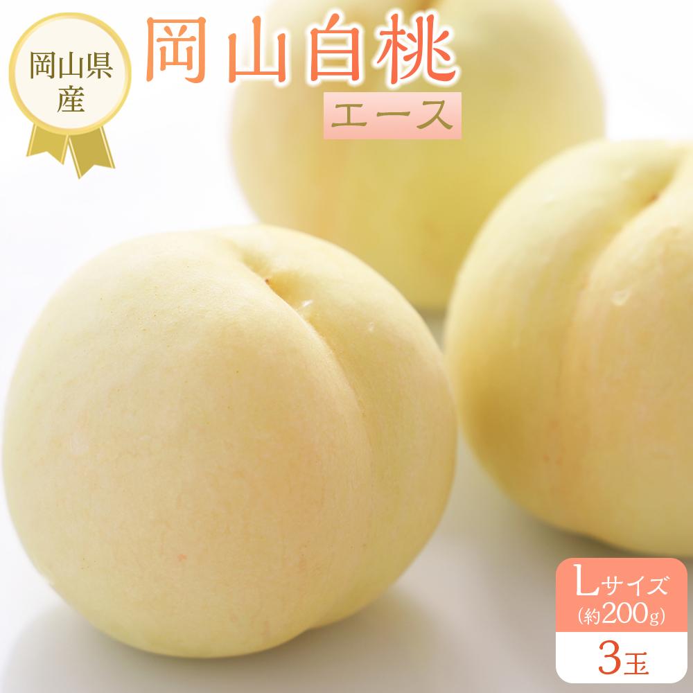 【ふるさと納税】岡山県産 桃 岡山白桃 2026年 エース 3玉×約200g 計600g Lサイズ もも モモ フルーツ 果物 ギフト | モモ momo 白桃 詰め合わせ おかやま 岡山県 岡山市 フルーツ お取り寄せ 国産 送料無料 おすすめ 人気 フルーツ