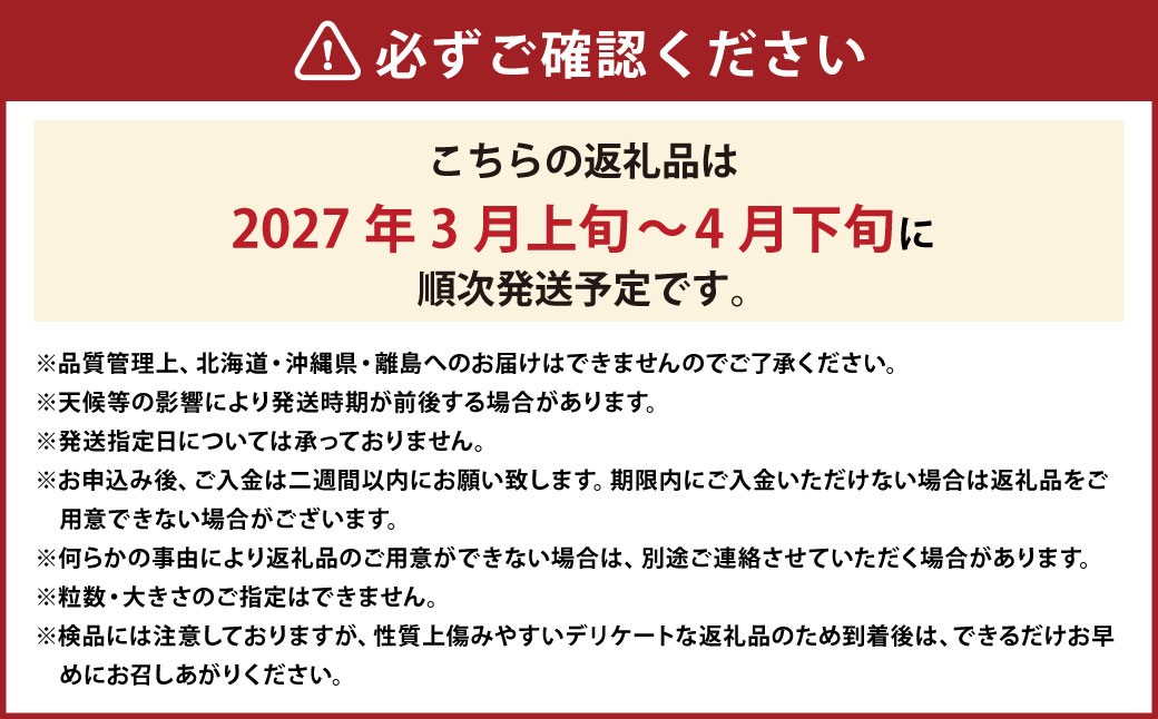 春のあまおう（2L・2A・G規格以上 6パック）【数量限定】