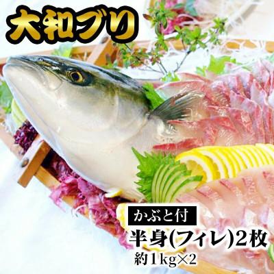 ふるさと納税 延岡市 【大和ブリ】半身(フィレ)約1kg×2枚　かぶと付き