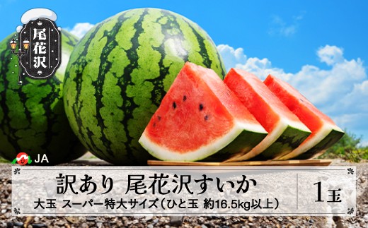 
                  尾花沢すいか 大玉 スーパー 特大 訳あり 約16.kg以上×1玉 7月下旬～8月10日頃発送 令和8年産 2026年産 ja-su20w1
                
