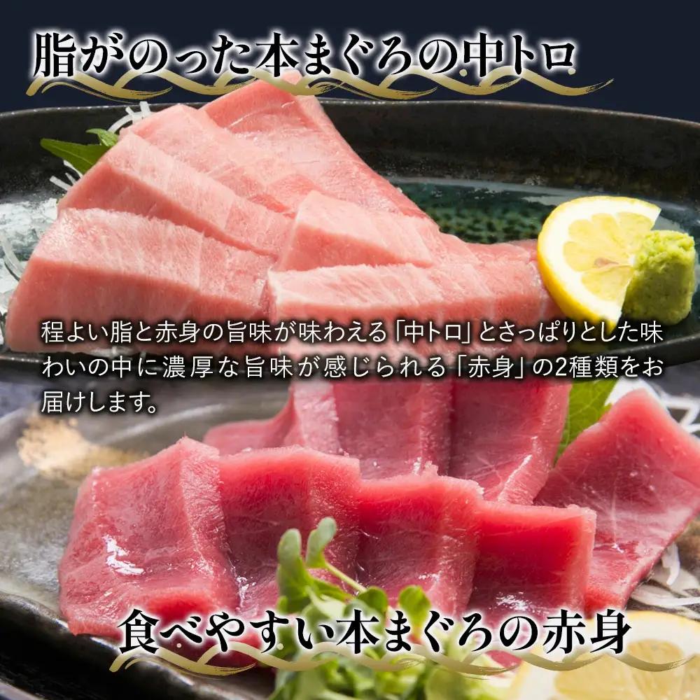 本マグロ 中トロ 赤身 セット | 本マグロ 津久見市