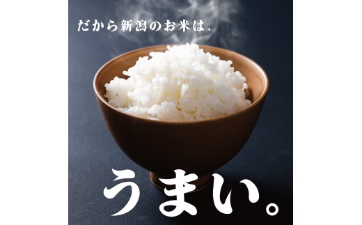 【令和8年産】こしいぶき 5kg コシヒカリ こしひかり 遺伝子を引き継ぐ ご飯 備蓄 コメ お米 米 こめ 新潟産 新潟米 新潟県 新潟 新発田 新発田市 国産 新発田市産 斗伸 toushin06