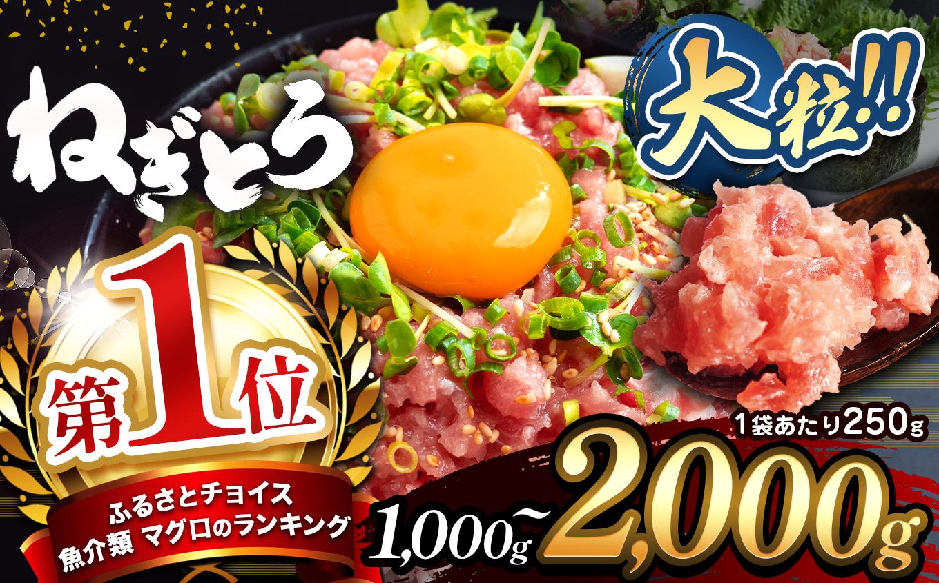 清幸丸水産 ねぎとろ 大人気 1250g(250g×5袋) 味も量も大満足