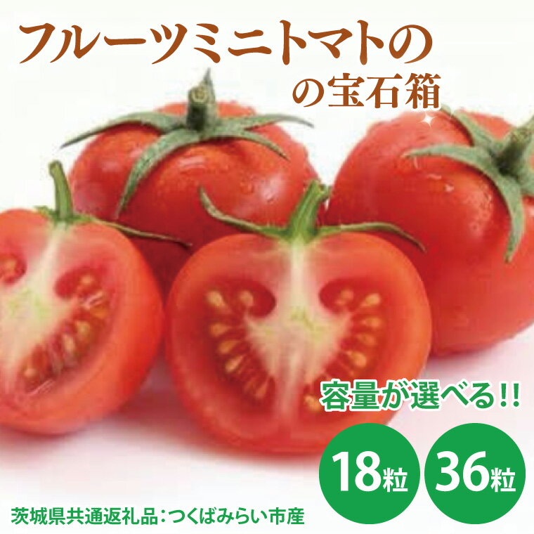 【ふるさと納税】【先行予約】【選べる】フルーツミニトマトの宝石箱 18粒・36粒（茨城県共通返礼品：つくばみらい市産）※2026年1月上旬～3月下旬頃に順次発送予定（CD090）