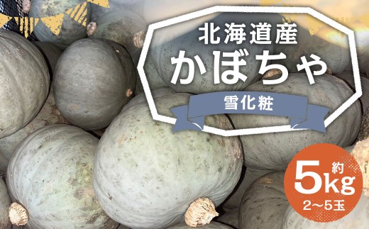 北海道産 かぼちゃ （雪化粧） 約5kg セット 山田農場 【2025年10月上旬-11月上旬迄発送予定】 南瓜 カボチャ 冬至用かぼちゃ 野菜 やさい 北海道 京極町 常温