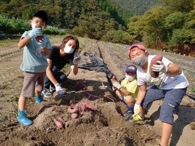 41-02　野菜収穫体験（４名様まで）