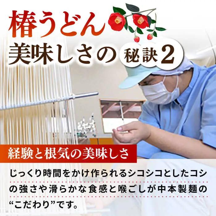 【全12回定期便】椿うどん300g×20袋 五島うどん 保存食 業務用[RAO024] うどん 五島うどん 麺 うどん 五島うどん 麺 うどん 五島うどん 麺 うどん 五島うどん 麺九州 長崎