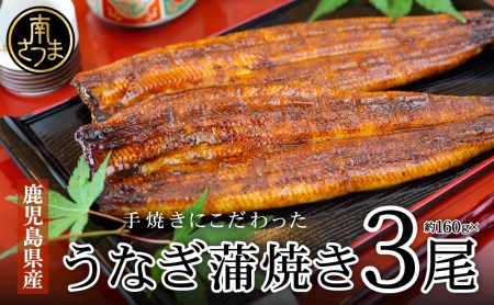 【鹿児島県産 鰻】うなぎ専門店「万のせ」 うなぎ蒲焼3尾（手焼き）ジューシー スタミナ ウナギ 鰻 蒲焼き 国産 ギフト 鰻重 うな重 たれ ひつまぶし 土用丑の日 山椒 冷凍 簡単調理 贈り物 南さつま市