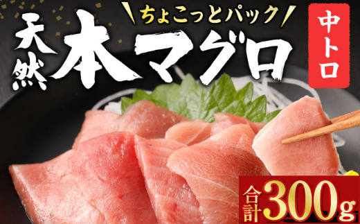 【ふるさと納税】天然本まぐろ 中トロ 切落し お手軽 ちょこっとパック 60g×5パック 合計300g 食べきりサイズ 中とろ 切り落とし マグロ 鮪 海産物 魚 刺身 魚介類 海鮮 小分け 簡単解凍 調理 惣菜 訳あり 規格外 高知県 不揃い コロナ 緊急 冷凍 13000円 送料無料