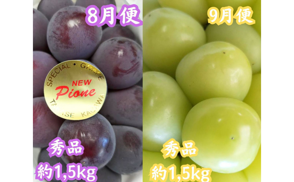 【全6回】坂出　冬・夏　美味しい果物定期便