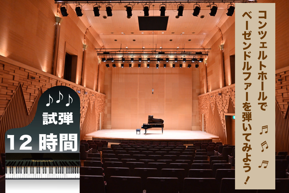 
            コンチェルトホール　ベーゼンドルファー　ピアノ【12時間】試弾チケット
          