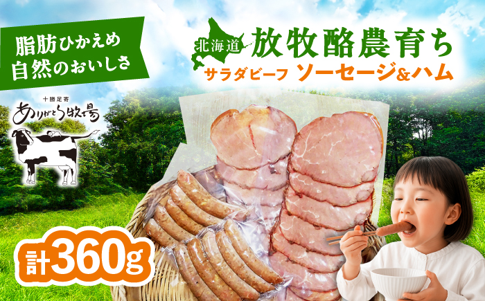 ＼TVで話題／サラダビーフ ソーセージ&ハムセット（ソーセージ100g×2袋・ボンレスハム80g×2袋）《足寄町》【ありがとう牧場】ソーセージ ハム 牛肉 ビーフ 肉 ミート 牛 焼肉 牛丼 カレー ギフト 北海道産 あしょろ 北海道 [BEAH007]