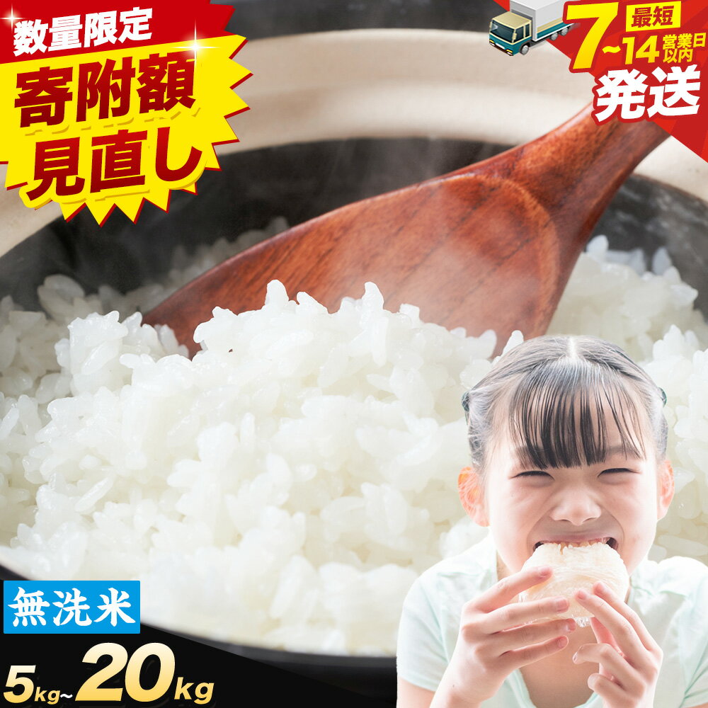 【ふるさと納税】7-14営業日発送 無洗米 ★寄附額見直し 9,500円～★ 晴れの国岡山の無洗米 選べる内容量 5kg 10kg 20kg 3~12ヶ月 定期便 岡山県産 無洗米 無洗 米 矢掛町《回数をお選びください》米 コメ